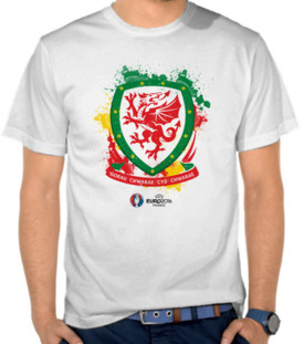 Euro 2016 - Wales 2