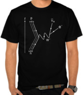  Feynmann Diagrams - Negative Decay