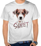 Sweet Dog