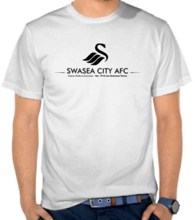 Swansea City AFC 2