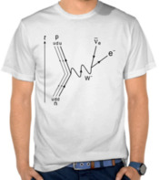  Feynmann Diagrams - Negative Decay 2