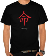 Destiny Japanese Kanji