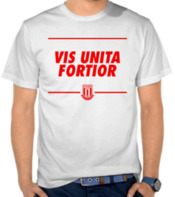 Vis Unita Fortior - Stoke City 2