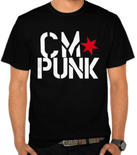WWE - CM Punk