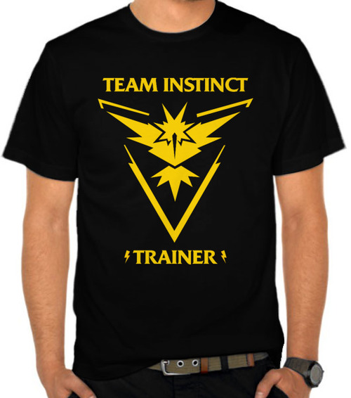 Pokemon Go - Team Instinct