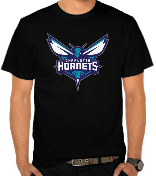 Charlotte Hornets 3