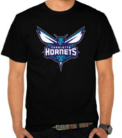 Charlotte Hornets 3