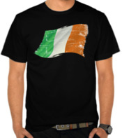 Ireland Grunge Flags
