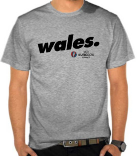 Euro 2016 - Wales 3
