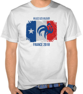 Allez Les Bleus! France 2018