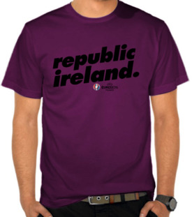 Euro 2016 - Republic Ireland 4