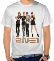 2NE1 Girl Group Members