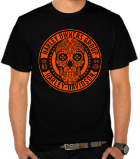 Harley Davidson Owner Group - HDOG