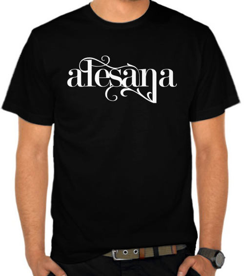 Band Alesana 2