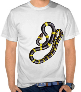 Yellow Stripe Snake