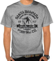 Surfing - Santa Barbara