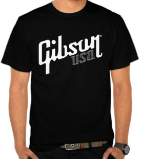 Gibson USA 2