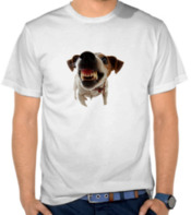 Jack Russel Face 2